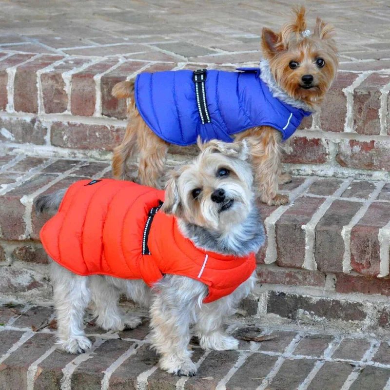 Squeaky treat pet toy-Alpine Extreme Weather Puffer Coat for Dogs