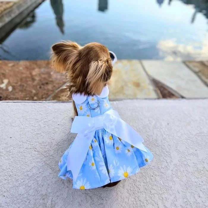 Recycled pet leash-Blue Daisy Dog Dress with Matching Leash