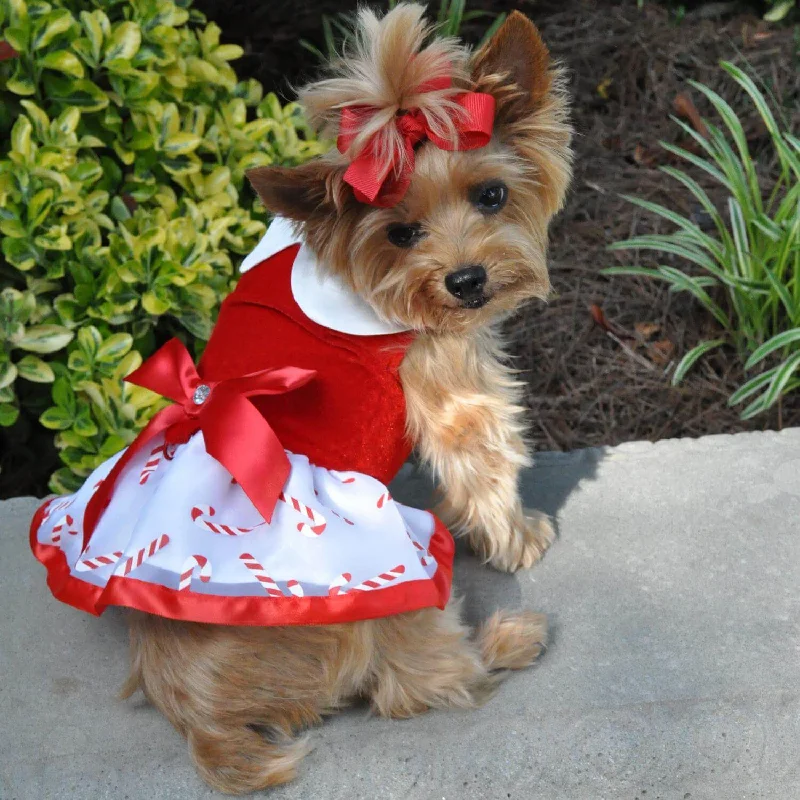 Durable pet rope ball-Candy Canes Christmas Doggy Dress