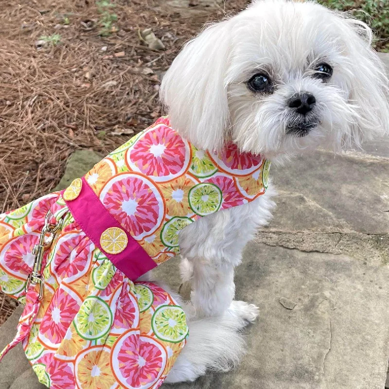 Orthopedic pet pillow-Citrus Slice Dog Dress with Matching Leash