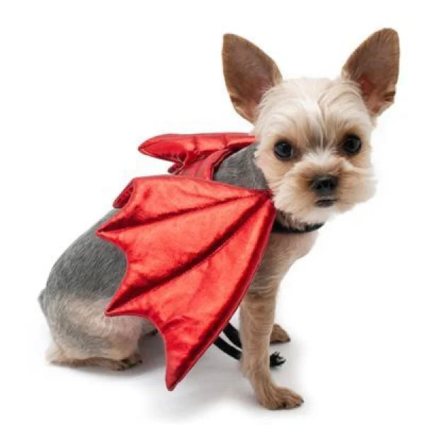 Reflective pet leash small-Dragon Dog Wings