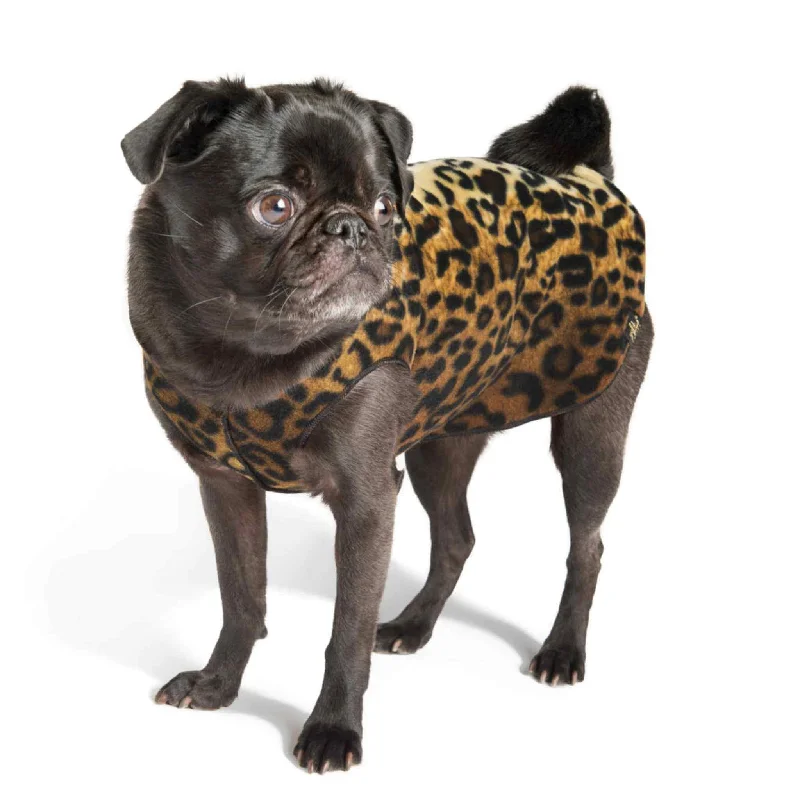 Elastic cat collar safety-Gold Paw Series Stretch Fleece for Small Dogs - Leopard