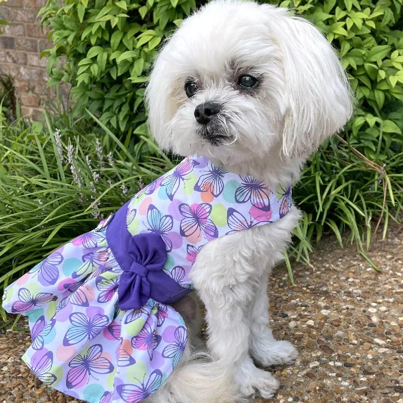 Airline-approved pet crate-Purple Butterfly Dog Dress with Matching Leash