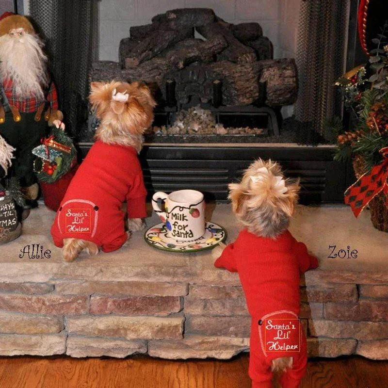 Reflective dog leash medium-Santa's Lil' Helper Dog Pajamas