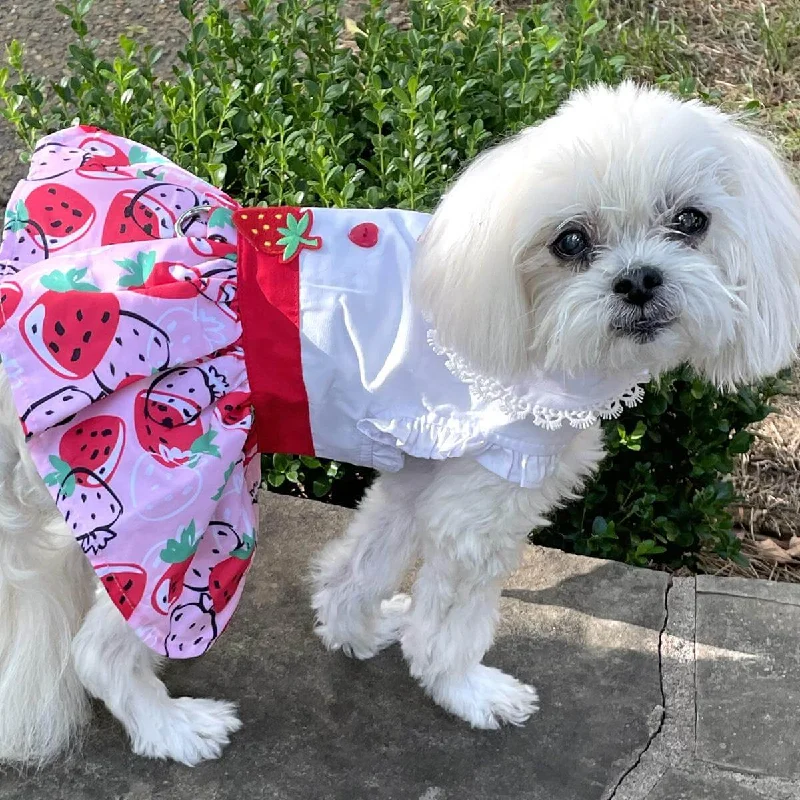 Lightweight pet ramp-Strawberry Picnic Dog Dress with Matching Leash