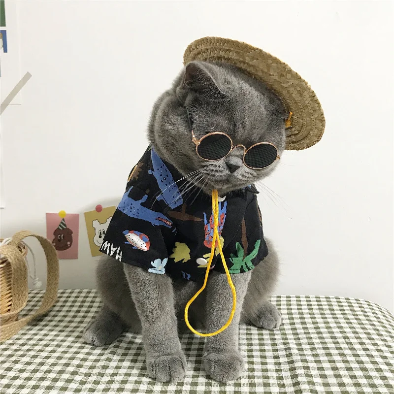 Small pet grooming tool-Stylish Cat Clothes - Cozy and Fashionable Outfits for Your Feline Friend | JackalPet