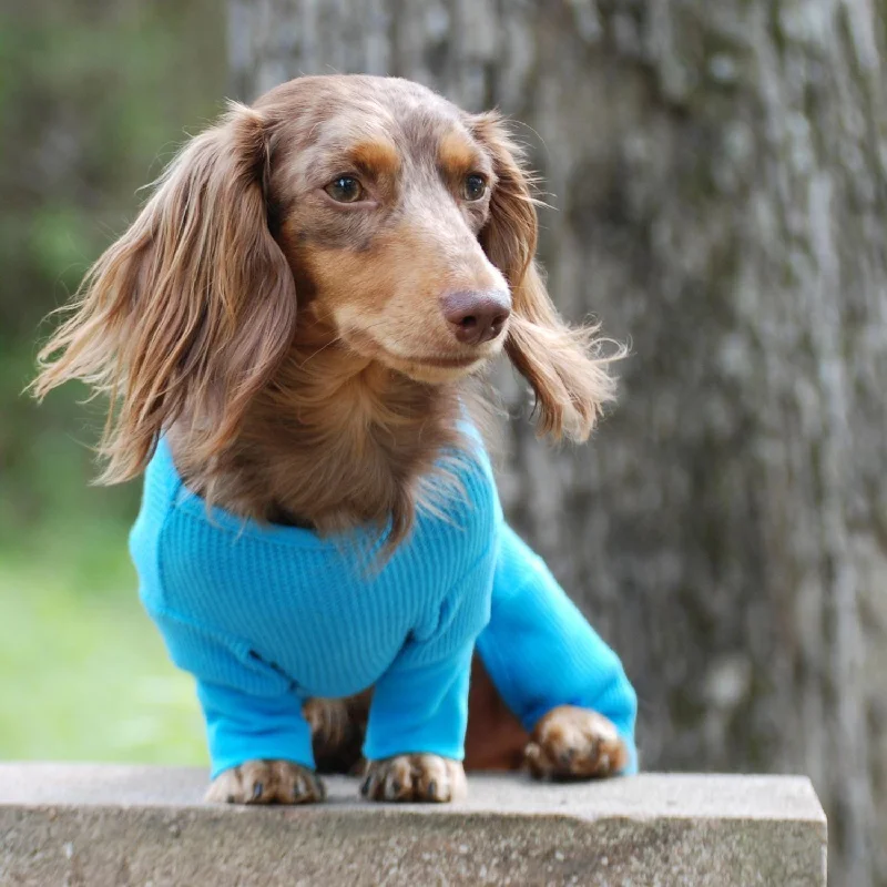 Waterproof pet dish mat-Sweet Dreams Boy Dog Pajamas